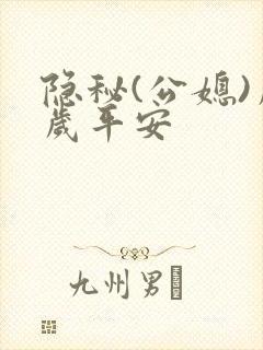 隐秘(公媳)岁岁平安封面