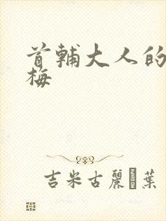 首辅大人的小青梅