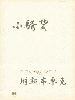 小骚货