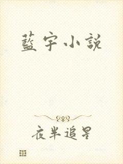 蓝宇小说