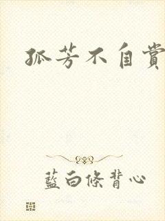 孤芳不自赏小说