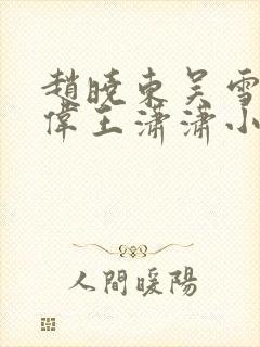 赵晓东吴雪晴郑伟王潇潇小说名字