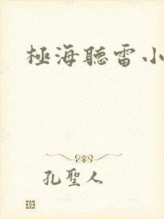 极海听雷小说封面