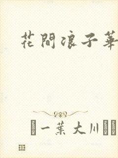 花间浪子华云龙