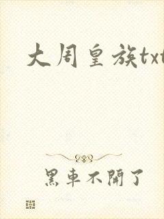 大周皇族txt