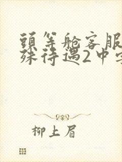 头等舱客服的特殊待遇2中字