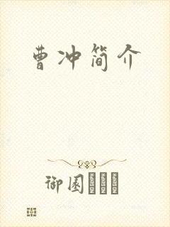 曹冲简介封面
