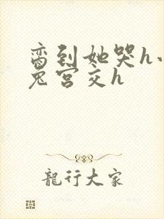脔到她哭h小白兔宫交h封面