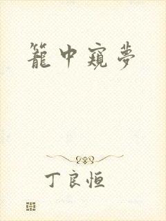 笼中窥梦