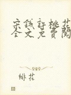宋钱许桃花小说全文免费阅读