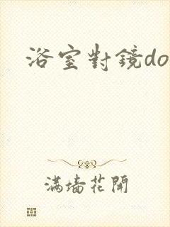 浴室对镜doi