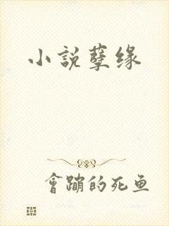 小说孽缘封面