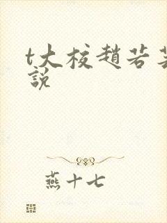 t大校赵若芸小说封面