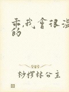 乖,我会很温柔的