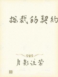 总裁的契约妻封面