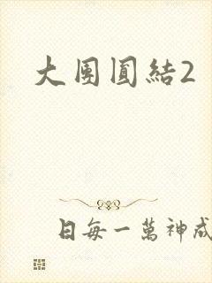 大团圆结2封面