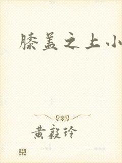 膝盖之上小说