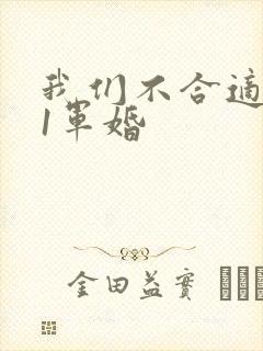我们不合适1v1军婚