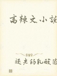 高辣文小说封面