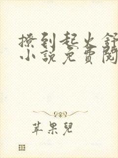 撩到起火舒漾的小说免费阅读全文