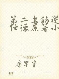 第二名的逆袭高仕德原著小说