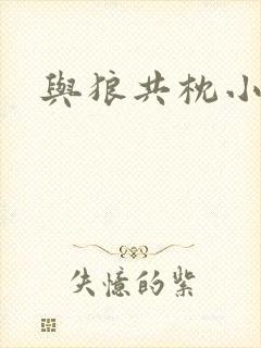 与狼共枕小说