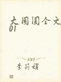 大团圆全文阅读01封面