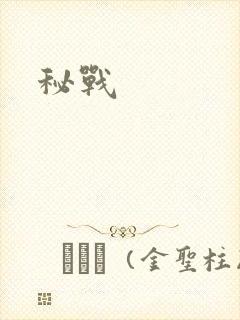 秘战