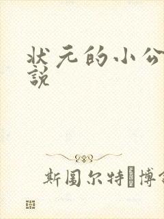 状元的小公主小说