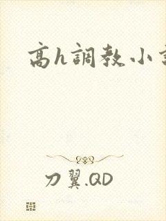 高h调教小说