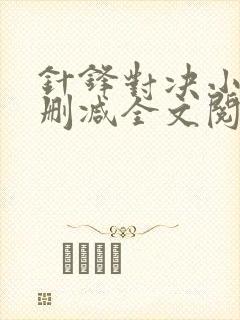 针锋对决小说未删减全文阅读封面