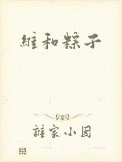 维和粽子