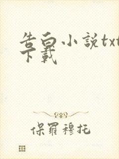 告白小说txt下载