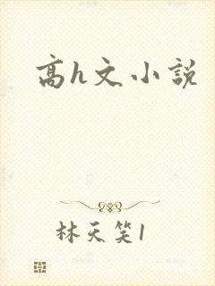 高h文小说