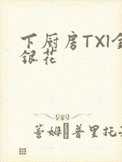 下厨房TXl金银花