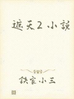 遮天2 小说