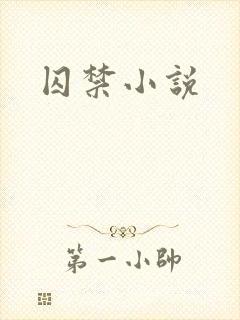 囚禁小说