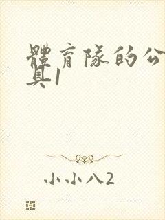 体育队的公用玩具1