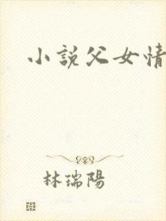 小说父女情深封面