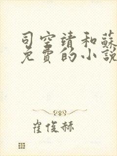 司空靖和苏月汐免费的小说笔趣阁