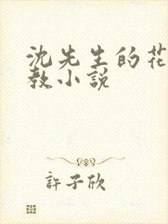 沈先生的花式调教小说