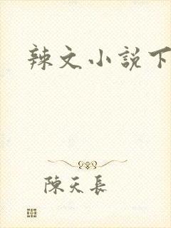 辣文小说下载封面
