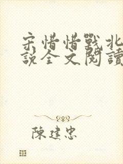 宋惜惜战北望小说全文阅读封面