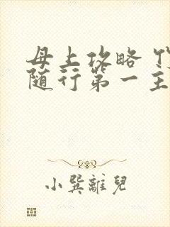 母上攻略 竹影随行第一主板