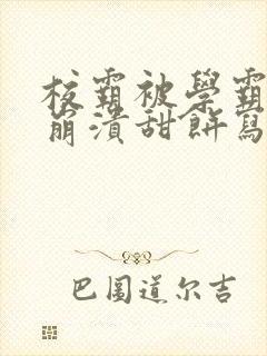 校霸被学霸玩到崩溃甜饼写手