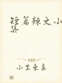 短篇辣文小说合集