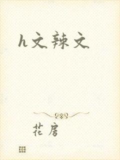 h文辣文