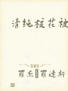 清纯校花被c