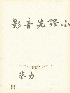 影音先锋小说