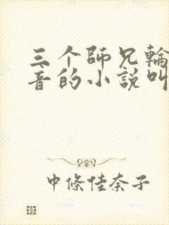 三个师兄轮流上音的小说叫什么
